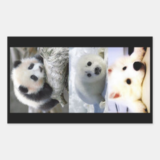 Panda-Siegel-Mini American Eskimo Rechteckiger Aufkleber
