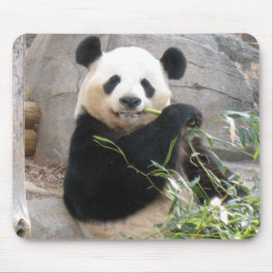 Panda Snack Mousepad