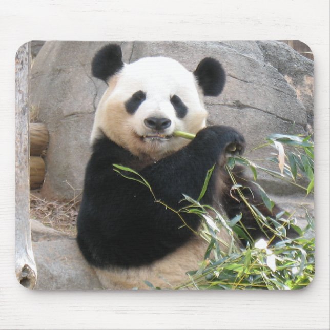 Panda Snack Mousepad (Vorne)