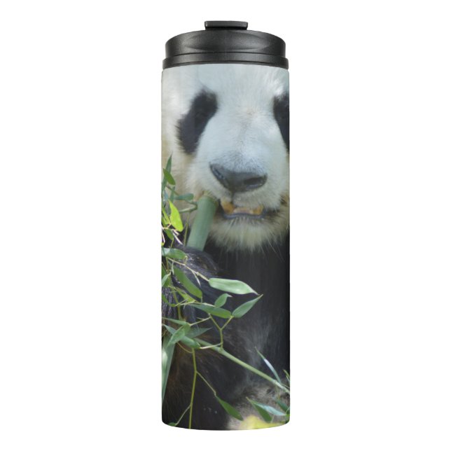 Panda Thermal Tumbler Thermosbecher (Vorderseite)