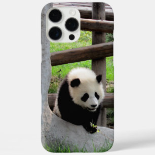 Panda title_seo2