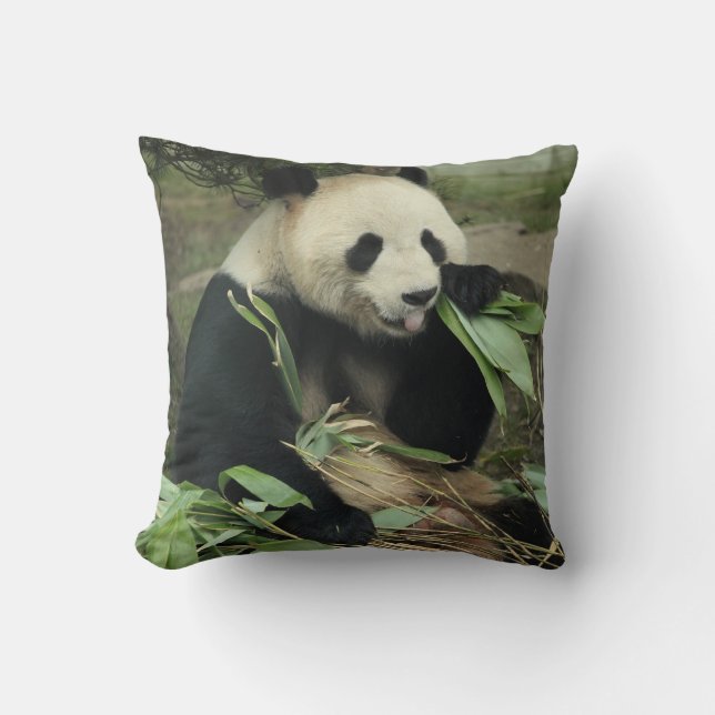 Panda-und Baby-Panda-Wurfs-Kissen Kissen (Vorderseite)