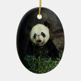 Panda-Verzierung ~ Arten-Reihe Keramik Ornament