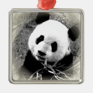 Panda Weihnachtsschmuck