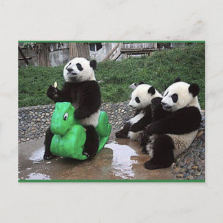 Pandabeer Postkarte