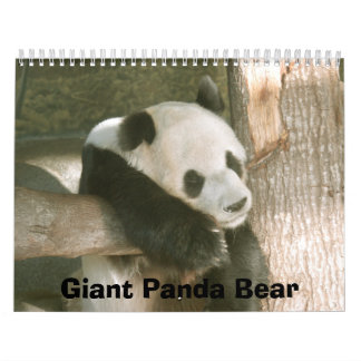 PandaM016, Panda-Bär Kalender