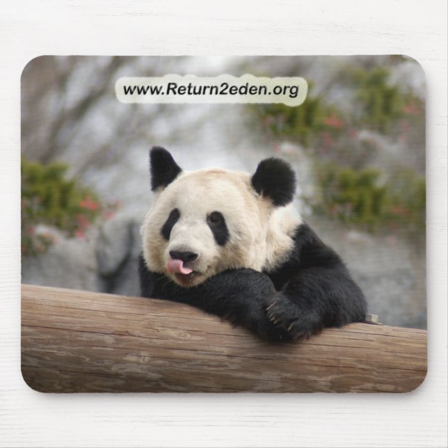 PandaM021 Mousepad (Vorne)