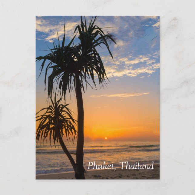 Pandanus-Baum bei Sonnenuntergang, Laypang Beach,  Postkarte (Vorderseite)