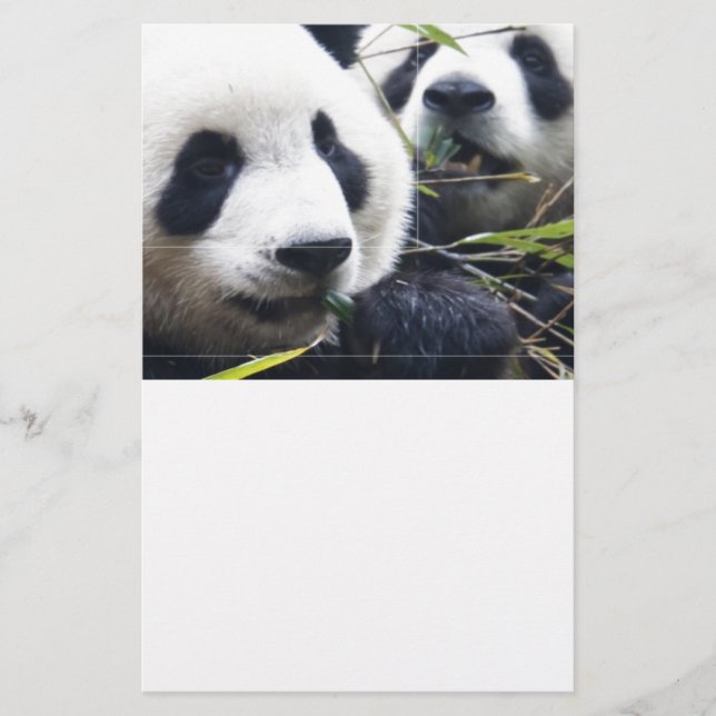 Pandas Briefpapier (Vorderseite)