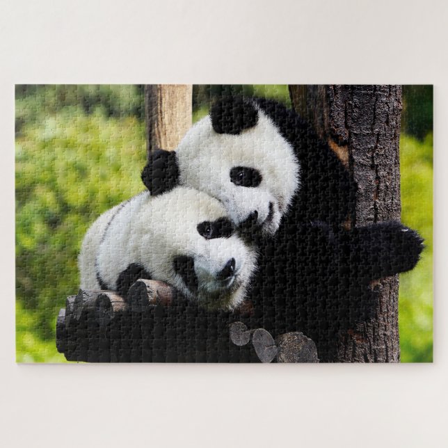 Pandas de bébé jouant, Puzzle Jigsaw (Horizontal)