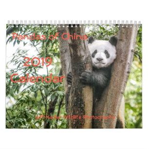 Pandas de la Chine, calendrier mural 2019