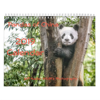 Pandas de la Chine, calendrier mural 2019