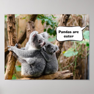 Pandas oder Koalas - Was sind niedlicher? Poster