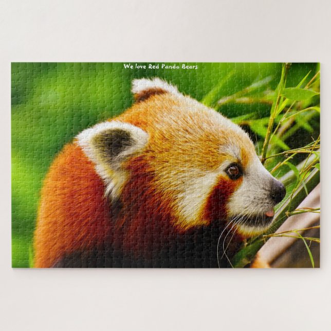 Pandas Rouges. Puzzle (Horizontal)