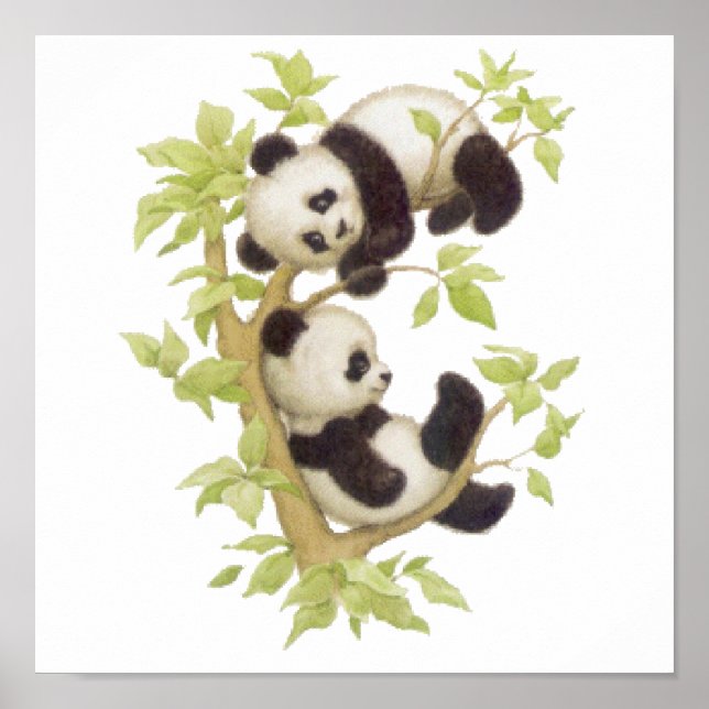 Pandas spielen in einem Baum Poster (Vorne)