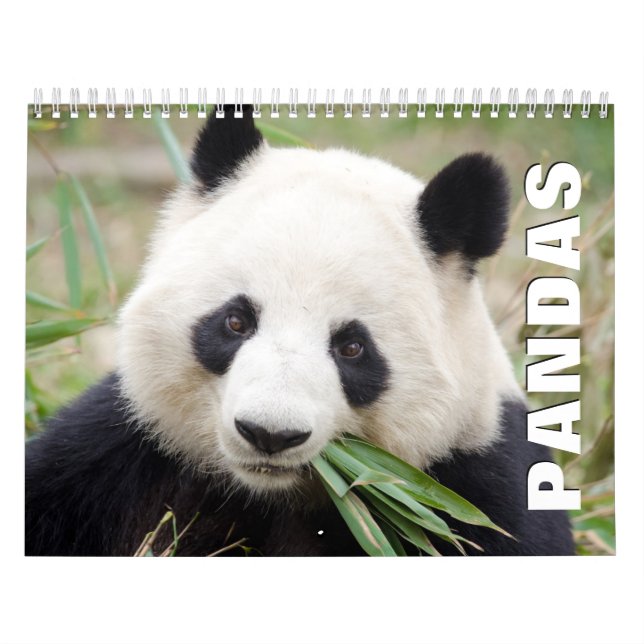 Pandas Wall Calendar Kalender (Titelbild)