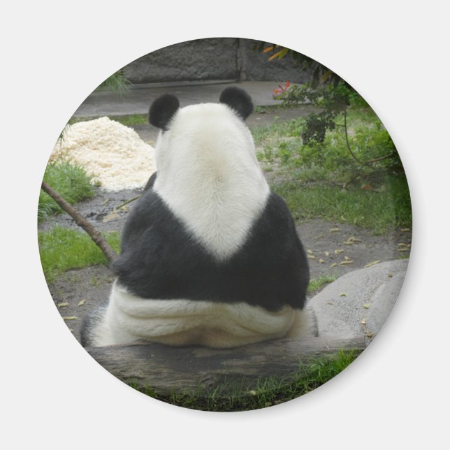 PandaSD002 Magnet (Vorne)