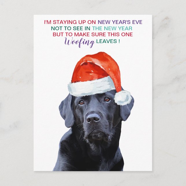 Pandemischer Silvester Quarantäne Hund Feiertagspostkarte (Vorderseite)