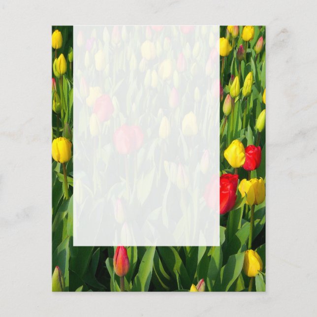 Panel 021 - Tulips Flyer (Vorne)