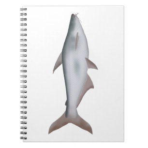 Pangas Catfish Notizblock