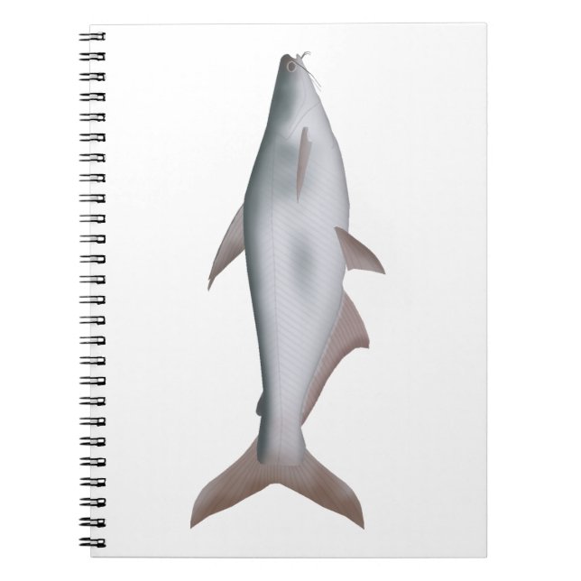 Pangas Catfish Notizblock (Vorderseite)