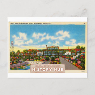 Pangborn-Pflanze Historischer Neudruck Postkarte