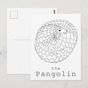 Pangolin aufgerollt, einfach zeichnend postkarte