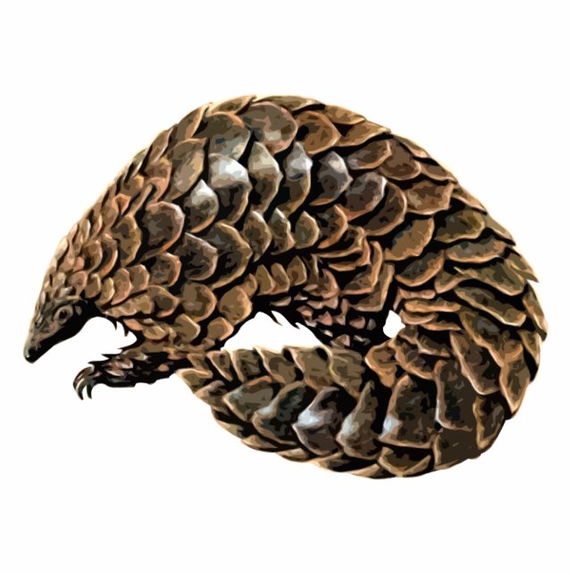 Pangolin-Ausschnitt-Magnet/Skulptur Fotoskulptur Magnet (Vorne)