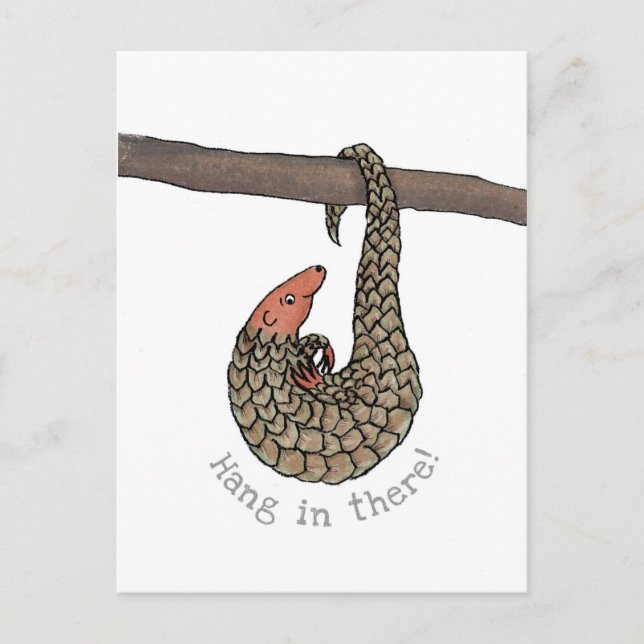 Pangolin 'hinein' Postkarte (Vorderseite)