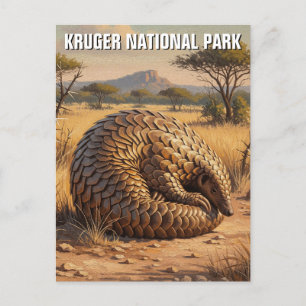 Pangolin im Kruger-Nationalpark Südafrika Postkarte