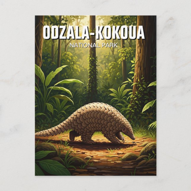 Pangolin in Odzala-Kokoua-Nationalpark Kongo Postkarte (Vorderseite)