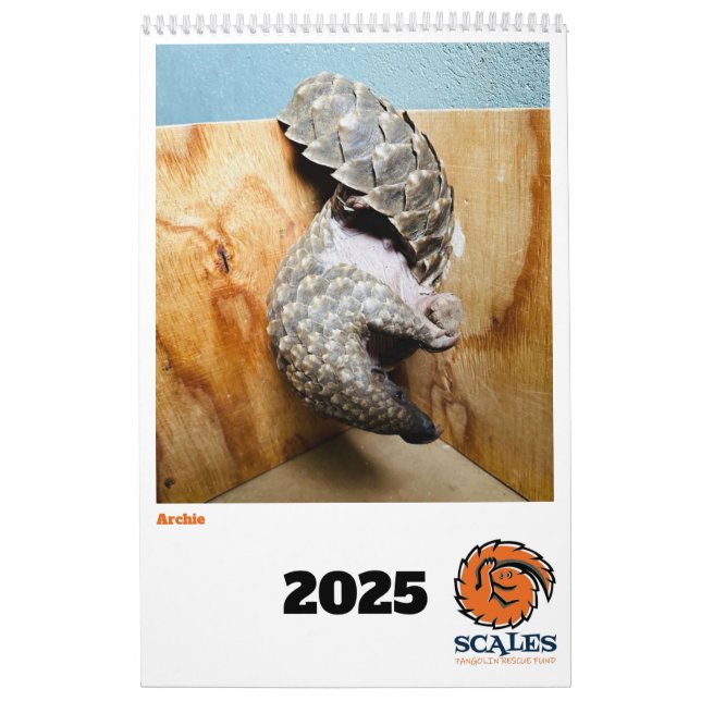 Pangolin Rescue Fund Calendar 2025 Kalender (Titelbild)