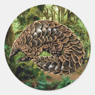 Pangolin-Sticker Runder Aufkleber
