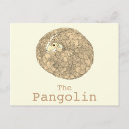 Pangolin Wildtiere gefährdete Arten Tierart Art Postkarte