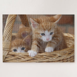 panier chatons puzzle