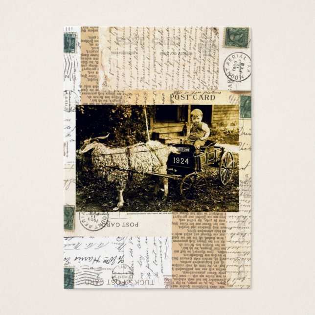 Panier de chèvre (Devant)