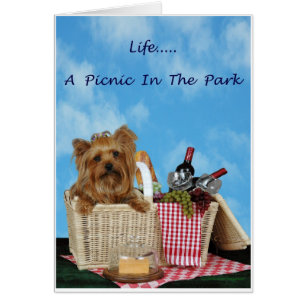 Panier de pique-nique de Yorkie