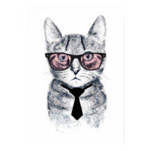Pankas Smart Cat
