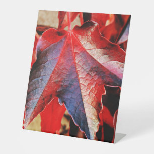 Panneau central en plastique 10"X12"