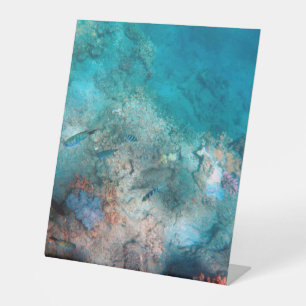 Panneau central en plastique 10"X12"