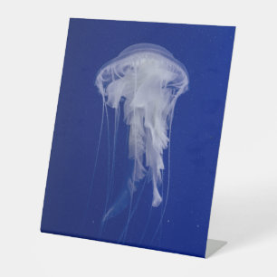Panneau central en plastique 10"X12"