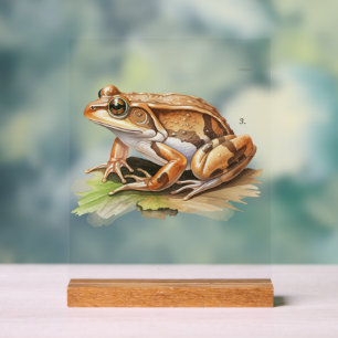 Panneau de la grenouille réaliste Nature Décor ins