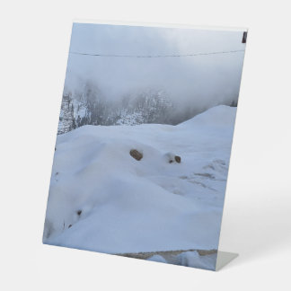 Panneau du piédestal