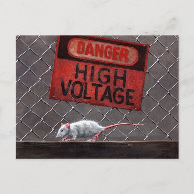 Panneau haute tension Rat sur clôture Carte postal (Devant)