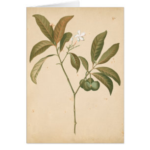 Panneau I de Deco de cobalt