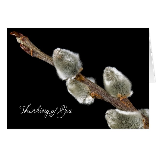 Panneau Printemps (Devant horizontal)