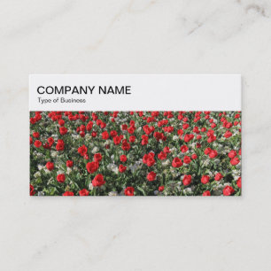 Panneau supérieur - Carte de visite de lit de tuli