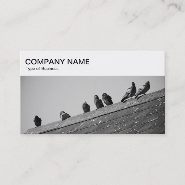Panneau supérieur - Pigeons sur un Carte de visite (Devant)