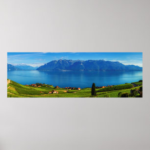 Panorama auf Lavaux Region, Waadt, Schweiz Poster