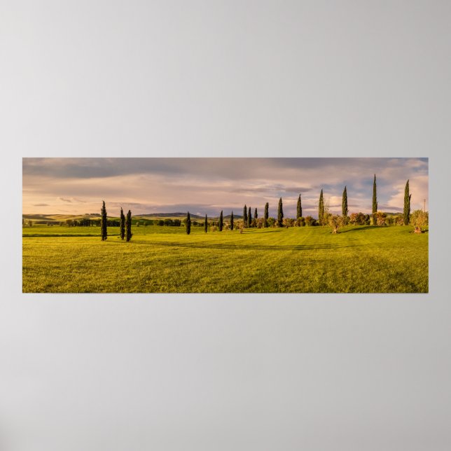 Panorama der toskanischen Landschaft Poster (Vorne)